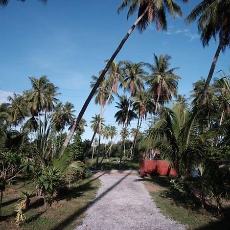 Coconut Tree Homestay Ban Wa Thon Esterno foto
