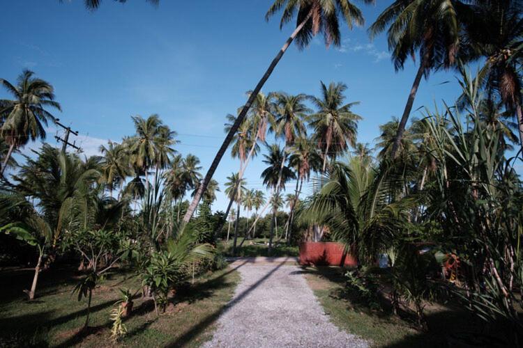Coconut Tree Homestay Ban Wa Thon Esterno foto
