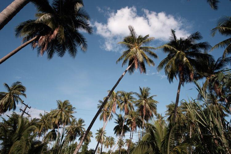 Coconut Tree Homestay Ban Wa Thon Esterno foto